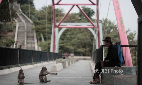 WISATA SEMARANG : Panjat Pinang Kera Dongkrak Kunjungan Goa Kreo