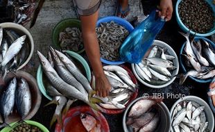 FOTO INFO BELANJA : Harga Ikan Laut di Pasar Bandarjo Naik