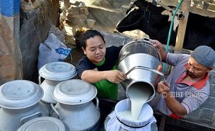 FOTO PETERNAKAN JATENG : Kelompok Tani Pakai Kandang Komunal