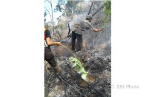 KEBAKARAN PONOROGO : Kejatuhan Balon Udara, Hutan Slahung Terbakar