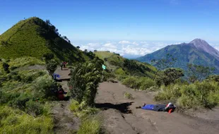 WISATA SOLORAYA : Menikmati Keabadian Edelweiss di Merbabu