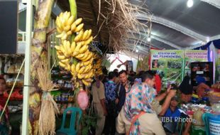 HUT KABUPATEN MADIUN : 15 Gapoktan Pamerkan Hasil Inovasi Pertanian