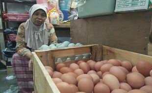 Jelang Akhir Tahun, Harga Telur di Jogja Tinggi