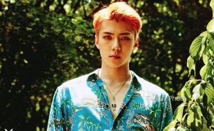 K-POP : Balas Komentar Fans, Sehun Bikin Netizen Tertawa