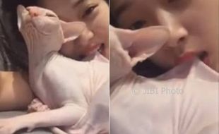 K-POP : Gigit Kucing saat Live Instagram, Mental Sulli Dipertanyakan