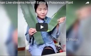 Vlogger China Luka Parah Usai Makan Tanaman yang Dikira Lidah Buaya