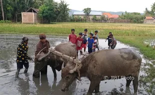 Desa di Bantul Didorong Berinovasi dengan Dana Desa