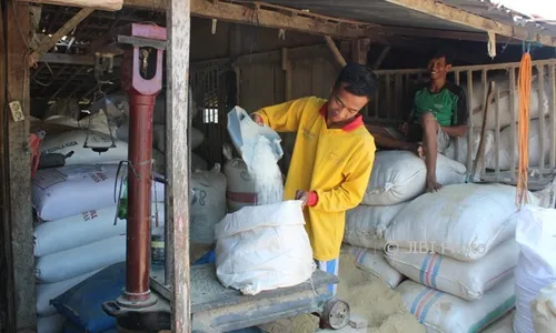 Harga Garam Rp5.000/kg, Peternak Sapi Boyolali Mengeluh