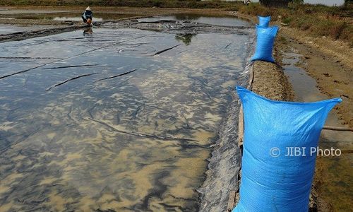 Industri Garam Jateng Kembali ke Bahan Lokal