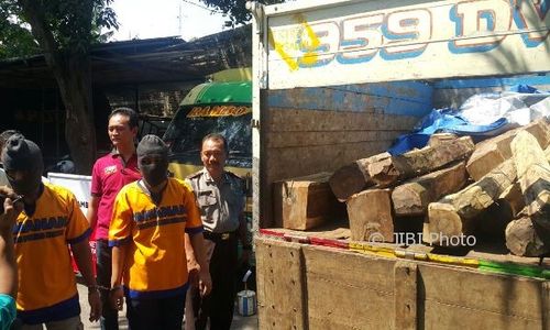 PENCURIAN MADIUN : 2 Pencuri Puluhan Batang Kayu Milik Perhutani Dibekuk