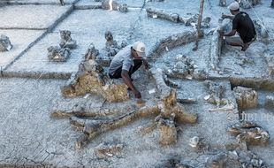 FOTO CAGAR BUDAYA GROBOGAN : Ini Banjarejo Desa Wisata Purbakala