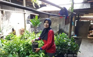 KISAH INSPIRATIF : Hobi Tanami Pekarangan Orang Lain, Perempuan Boyolali Ini Raih Kalpataru Provinsi