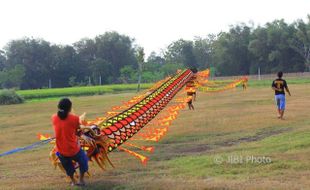 Layangan Mas Nogo Sepanjang 125 Meter Mengudara di Ponorogo