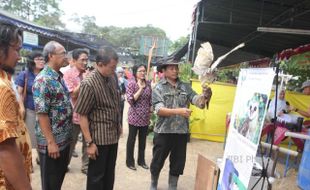 FOTO PERTANIAN JOGJA : Mari Bercocok Tanam di Lahan Terbatas