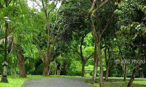 Hutan Kota di Bantul akan Dibuat di 4 Titik Ini