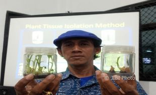 WISATA JOGJA : Kebun Plasma Nutfah Pisang Menuju Agrowisata