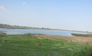 Cinta Suprapto & Sri Si Peri Penunggu Waduk Lalung Karanganyar