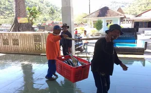 Nelayan DIY Diharapkan Tangkap Ikan Bernilai Ekonomi Tinggi