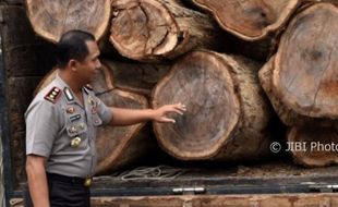 Foto Kayu Ilegal Diamankan Polres Semarang