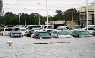 Selebritas Galang Bantuan untuk Korban Badai Harvey di Texas