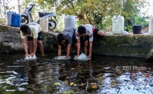 FOTO KEKERINGAN JATENG : Air Mulai Langka, Sendang Diandalkan