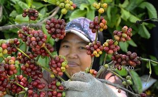 Inilah Harta Karun Terpendam di Lereng Gunung Muria