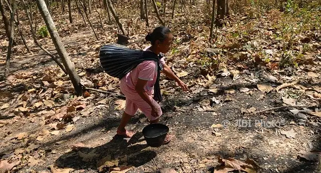 Perubahan Iklim Merusak Siklus Air Dunia