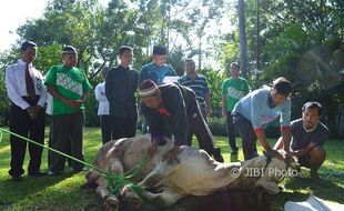 IDULADHA 2017 : Hotel Ini Gelar Salat Id hingga Penyaluran 900 Kantong Daging Kurban