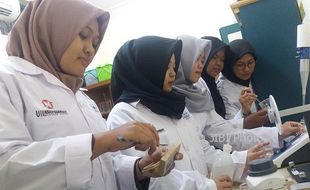 Cegah Penuaan dengan Krim dari Taoge Karya Mahasiswa UII