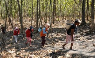 Foto Tambang Pasir Asa Perempuan Grobogan