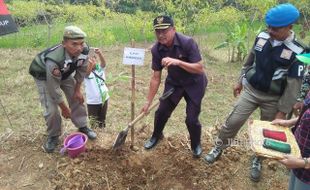 BENCANA PONOROGO : Cegah Tanah Longsor, 20.000 Pohon Karet Ditanam di Bekiring