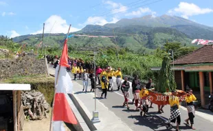 WISATA BOYOLALI : Ritual Tungguk Tembakau, Wujud Syukur Warga atas Panen Tembakau