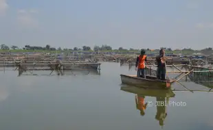 Musim Kemarau, Waduk Mulur dan Dam Colo Sukoharjo Belum Mengering