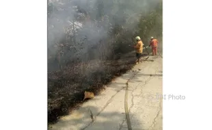 KEBAKARAN SRAGEN : 1,5 Hektare Kebun Jati Dekat Museum Sangiran Terbakar