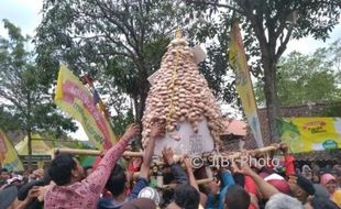 Kerbau Bule hingga Gunungan Apam di Kirab Budaya Karanganom Klaten