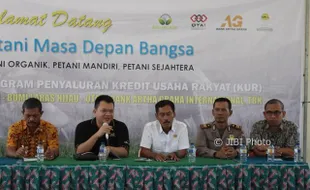 Ingin Petani Sejahtera, PT Bumi Laras Hijau Bikin Program Penyaluran KUR