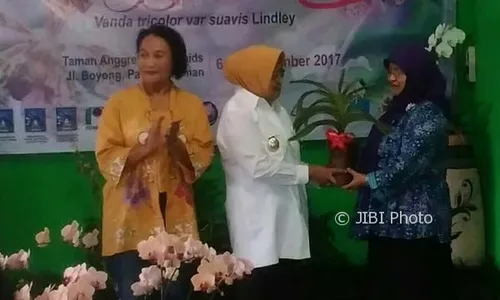 Festival Anggrek Digelar di Taman Anggrek Titi Orchid