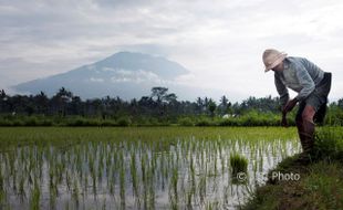 Kawah Gunung Agung di Bali Semburkan Asap Putih