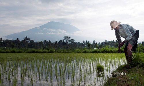 Kawah Gunung Agung di Bali Semburkan Asap Putih