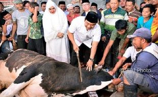 IDULADHA 2017 : Foto Wali Kota Semarang Berkurban Beredar, Begini Reaksi Warganet...