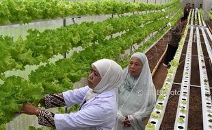 Foto Pesantren Wirausaha Dibantu Rp150 Juta