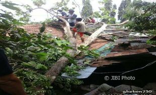 Rumah Warga Rusak Tertimpa Pohon Tumbang