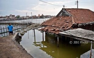 Foto Lingkungan Hidup Pesisir Semarang Rusak