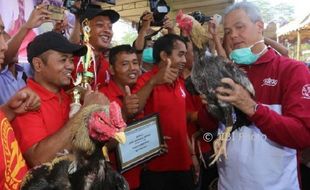 PETERNAKAN JATENG : Dikunjungi Ganjar, Ekspresi Hewan Ternak Ini Bikin Gagal Fokus