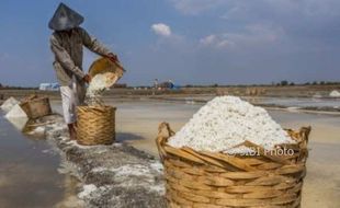 Kemarau Panjang, Jateng Surplus Garam