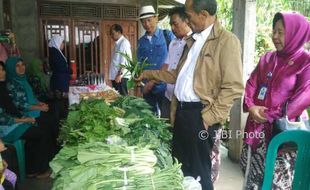 Nglambor Jadi Desa Pangan Organik Lestari, Ini Keunggulannya