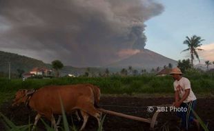 Letusan Gunung Agung Bali Diperkirakan Berlangsung 1 Bulan