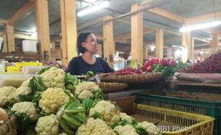 Harga Seledri Mahal, Pedagang Pasar Beringharjo Jogja Kurangi Stok Komoditas Lain