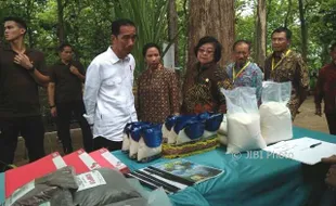 Dapat Izin Pemanfaatan Hutan, Begini Tanggapan Petani Madiun