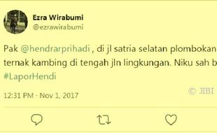 KEAMANAN LINGKUNGAN : Hendi Tanggapi Serius Laporan Beternak Kambing di Jalan